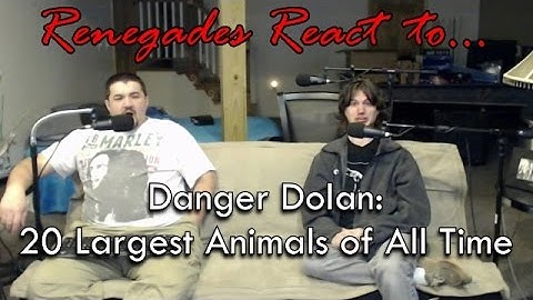 Renegades React to... Danger Dolan - 20 Largest Animals of All Time
