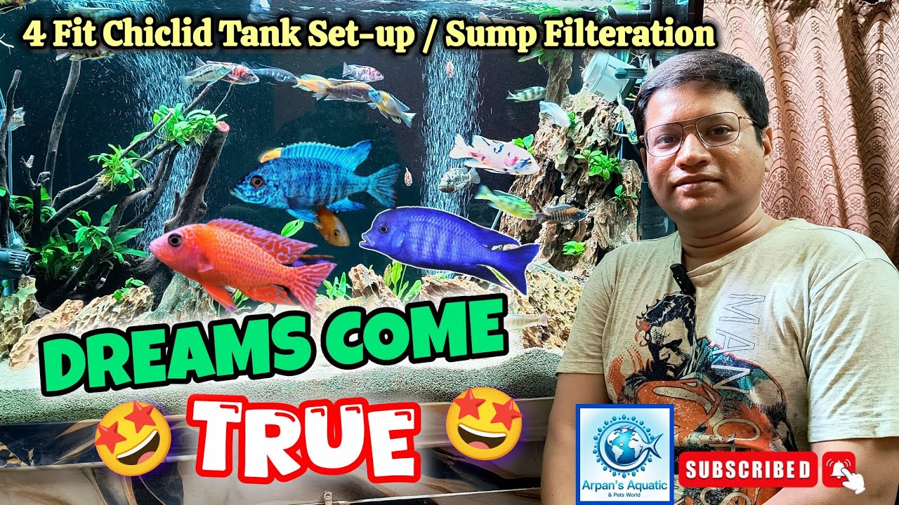 🤩 Big Size Cichlid Fish Tank Set-up with Sump Filteration 