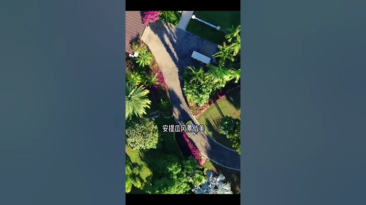 🇦🇬#安提瓜和巴布達 ，中國人多嗎？ 安提瓜和巴布達面積約為442.6平方公里。人口約8萬，絕大多數為非洲黑人後裔。英語為官方語言和通用語。現約有華人華僑幾百人,主要從事中餐館和小商品零售。 #安提瓜 - 天天要聞