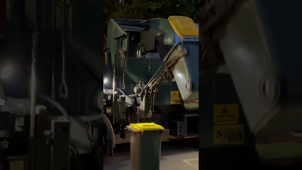 I think these bins need purple lids