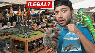 A Realidade por Trás do Mercado de Animais nos Estados Unidos