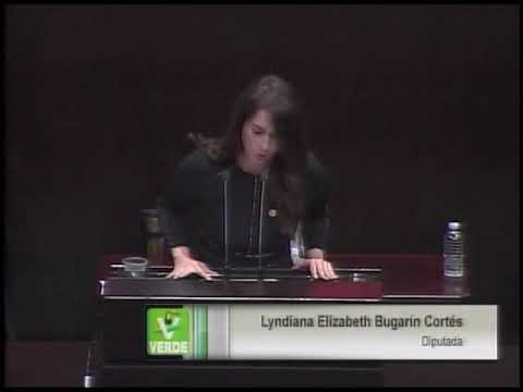 Dip. Lyndiana Bugarín (PVEM) - Iniciativa