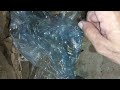 How to change diesel filter 25 june 2026 plz like subscribe share  new entery