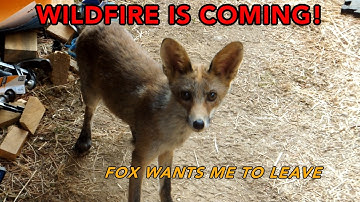 The Art Of Wonky | Canopy Build July 2025 | Part 3