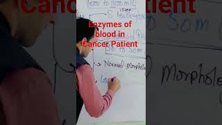 Alkaline Phosphatase Enzyme