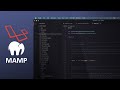 Pakai MAMP untuk Web Development di MacOS dan Windows.