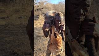 100yrs old Hadzabe man with big pig hunt