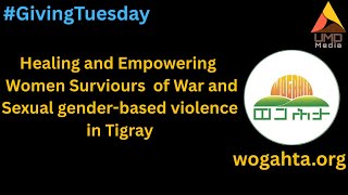 Wogahta: Healing And Empowering Women Surviours  Of War And Sexual Gender-based Violence In Tigray
