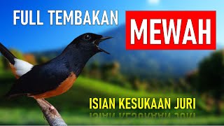 VARIASI TEMBAKAN MURAI BATU FULL ISIAN MEWAH FAVORIT JURI | MASTERAN MURAI BATU