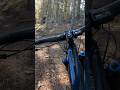 PERSECUCIÓN #mtb por el BOSQUE 🌲 #mtblife #mtblove #bikelife