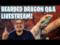 BEARDED DRAGON Q&A