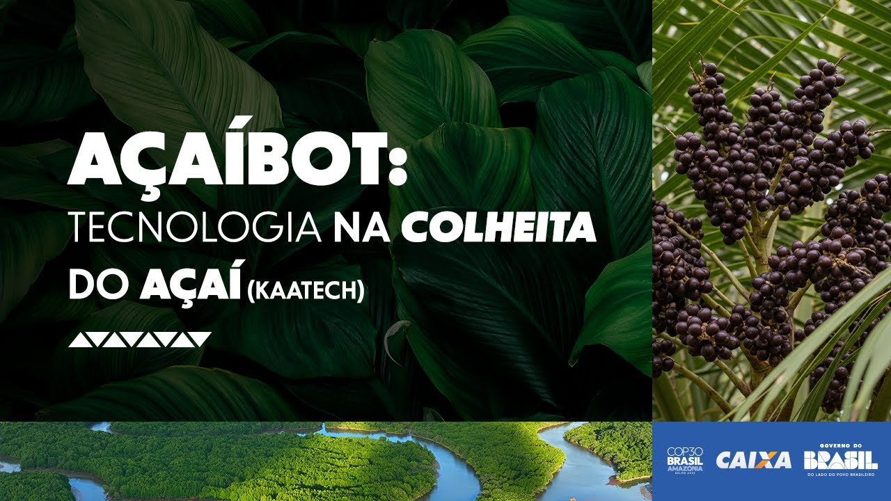 CAIXA na COP - AçaíBot