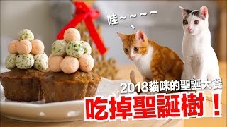 Christmas tree cake for cats [Cat supplement food recipe) EP 126
