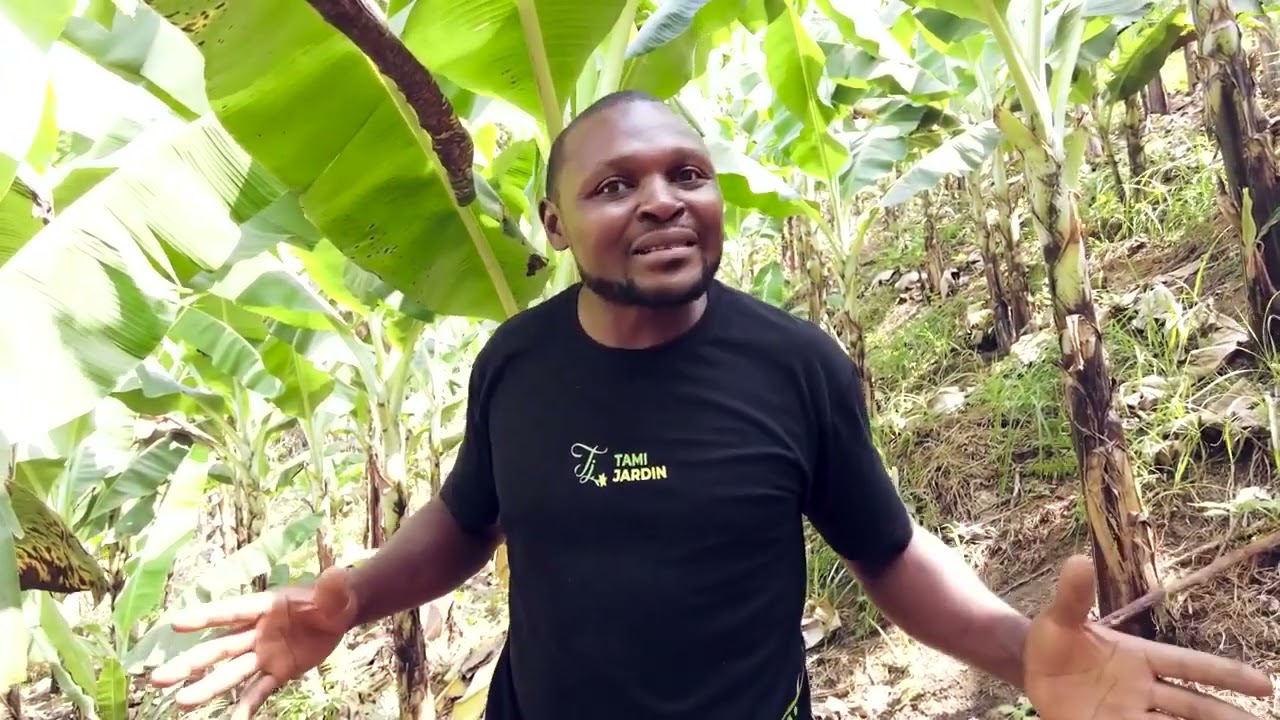 𝐏𝐋𝐔𝐒 5 000 000 𝐅𝐂𝐅𝐀 𝐝𝐞 𝐛é𝐧é𝐟𝐢𝐜𝐞𝐬 𝐩𝐚𝐫 𝐡𝐞𝐜𝐭𝐚𝐫𝐞 𝐚𝐯𝐞𝐜 𝐥𝐚 𝐛𝐚𝐧𝐚𝐧𝐞 𝐝𝐨𝐮𝐜𝐞