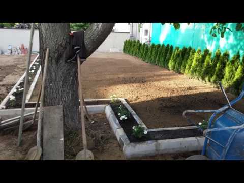 Video: Kako razvaljati travnjak - Znanje o baštovanstvo