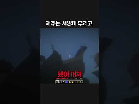 음식은 콩콩이 번다