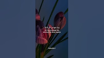 قران كريم|خَلَقَ السَّمَاوَاتِ بِغَيْرِ عَمَدٍ تَرَوْنَهَا ۖ{10} القارئ ياسر الدوسري 🌷.