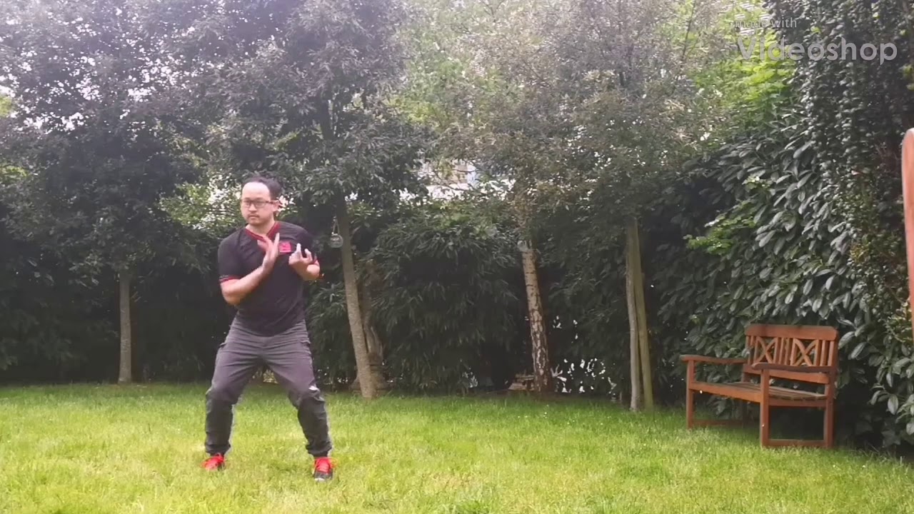 Wan Kam Leung Practical Wing Chun France (Sifu LEE Teck Meng). Biujee elbow strike practice