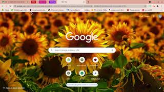 How to make your CHROMEBOOK look aesthetic+ organizing tip