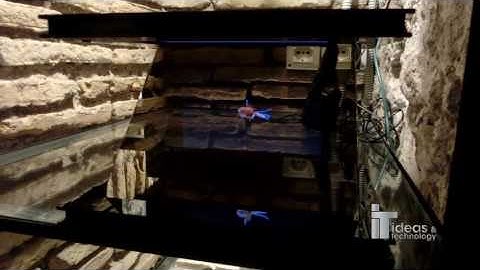 3D Holobox Mini - ideastech.it