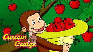 apple picking monkey curious george kids cartoon kids movies