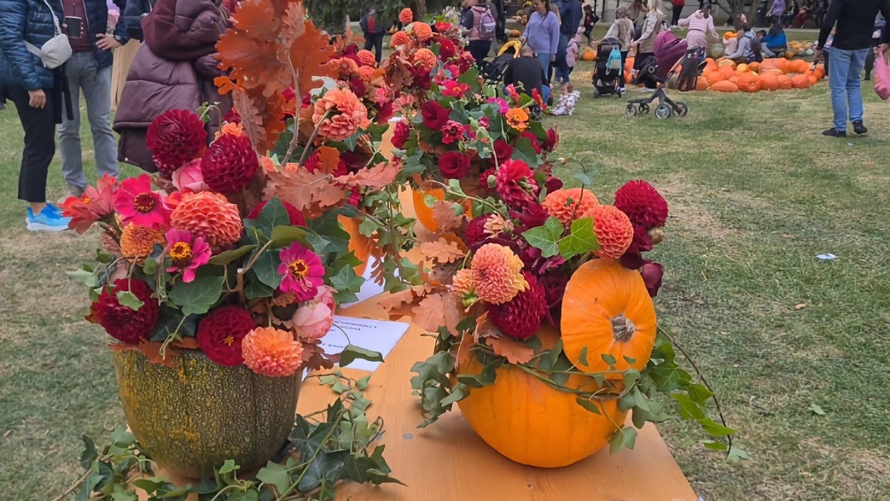 Bučijada Ivanić-Grad