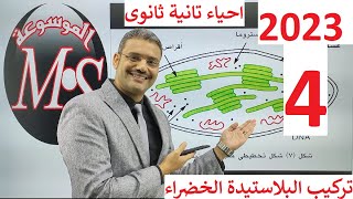 2023 أحياء تانية ثانوى الترم الأول : 4 - شرح درس تركيب البلاستيدة الخضراء فى النباتات  نظام جديد