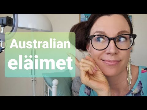 Video: Mitkä Ovat Eläimet Australiassa