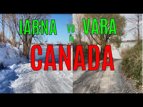 Video: 18 Imagini Care Dovedesc Canada Este Cea Mai Superba Destinatie De Iarna