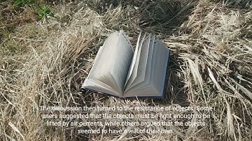 Mysterious Phenomenon of Disappearing Objects: A Discussion