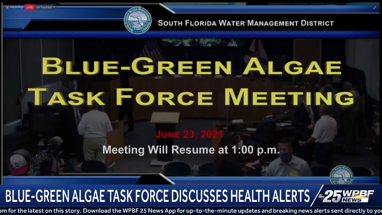 Blue-Green Algae Task Force discusses water contamination, health alerts - YouTube