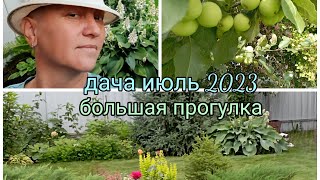 дача июль 2023г/большая прогулка/всё обо всём и немного о здоровье