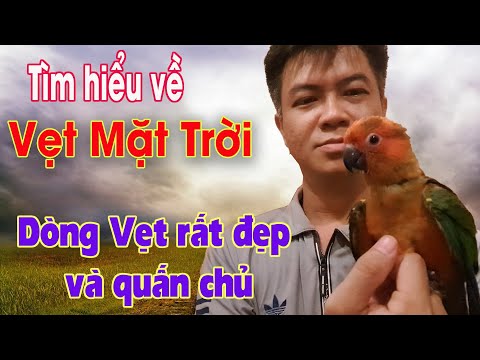 Video: Mất bao lâu để Dog Poo phân hủy?