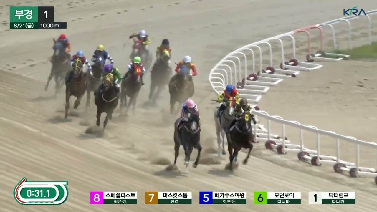 머스킷스톰.2세마 데뷔전 선행일순