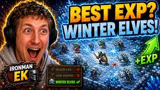I Tested Multiple Hunts — Winter Elves Won! | Tibia OTS Ironman EK
