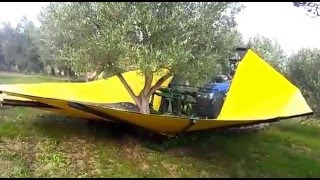 Raccolta Meccanizzata Olive Con Landini 105 Trekker