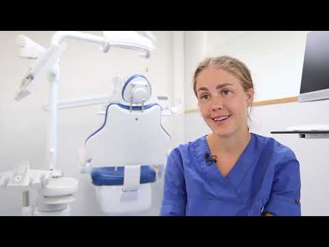 Tandläkarutbildning -  Hedvig Olsson - video from Malmö University