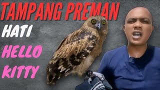 Suka Duka Memelihara Burung Hantu Buffy Fish