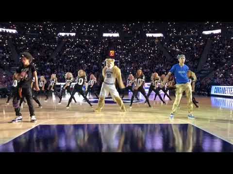 Cosmo Cougar Rolex (Halftime with Ayo & Teo)
