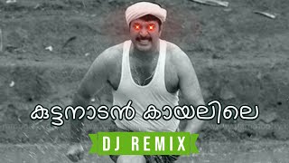 Kuttanadan Kaayalile - Kaazcha (DJ Astronix Remix) • Malayalam Remix 2023