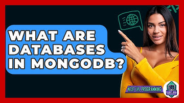 What Are Databases In MongoDB? - Next LVL Programming