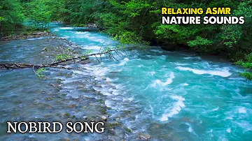 Beautiful Mountain River Flowing Sound, Relaxing Nature White Noise, Waterfall Sounds for Sleep | 09