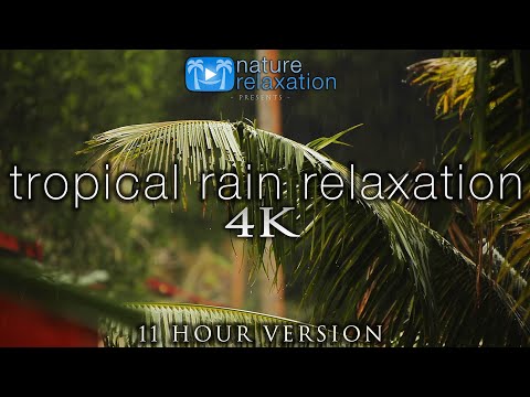 11 Hours of Tropical Rain Video + Sounds - Fiji Island Tropical Nature Relaxation