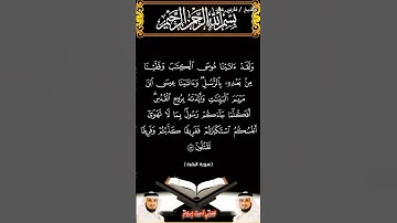 سورة البقرة الآيتين 87 و88 بصوت الشيخ فارس عباد برواية حفص #القرآن_الكريم #اكسبلور #viral #المصحف