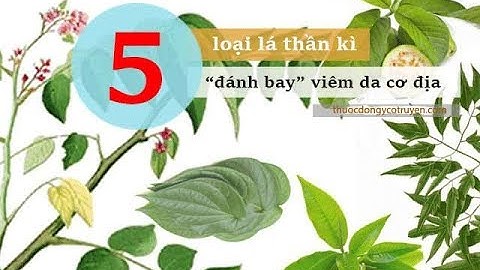 Viêm da cơ địa tắm lá gì mau hết bệnh sau 1 tháng