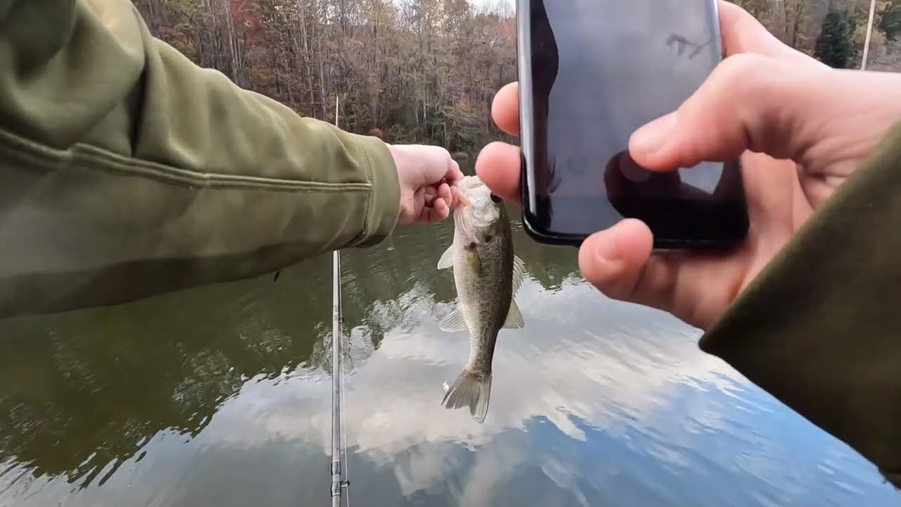 lil bit of bass fishing #bassackwardsanglers #bassfishing