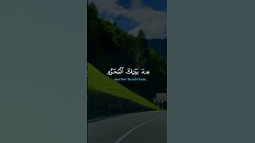 قرأن كريم بصوت الشيخ خالد الجليل تلاوه تهز القلوب #راحة_نفسية