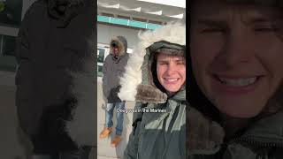 How cold is it in Minot North Dakota?
