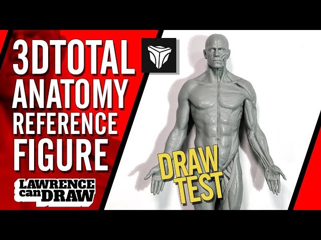 3dtotal Anatomy Figure Review for Digital Artists - YouTube