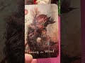 Clean energy... #shorts #fyp #tarot